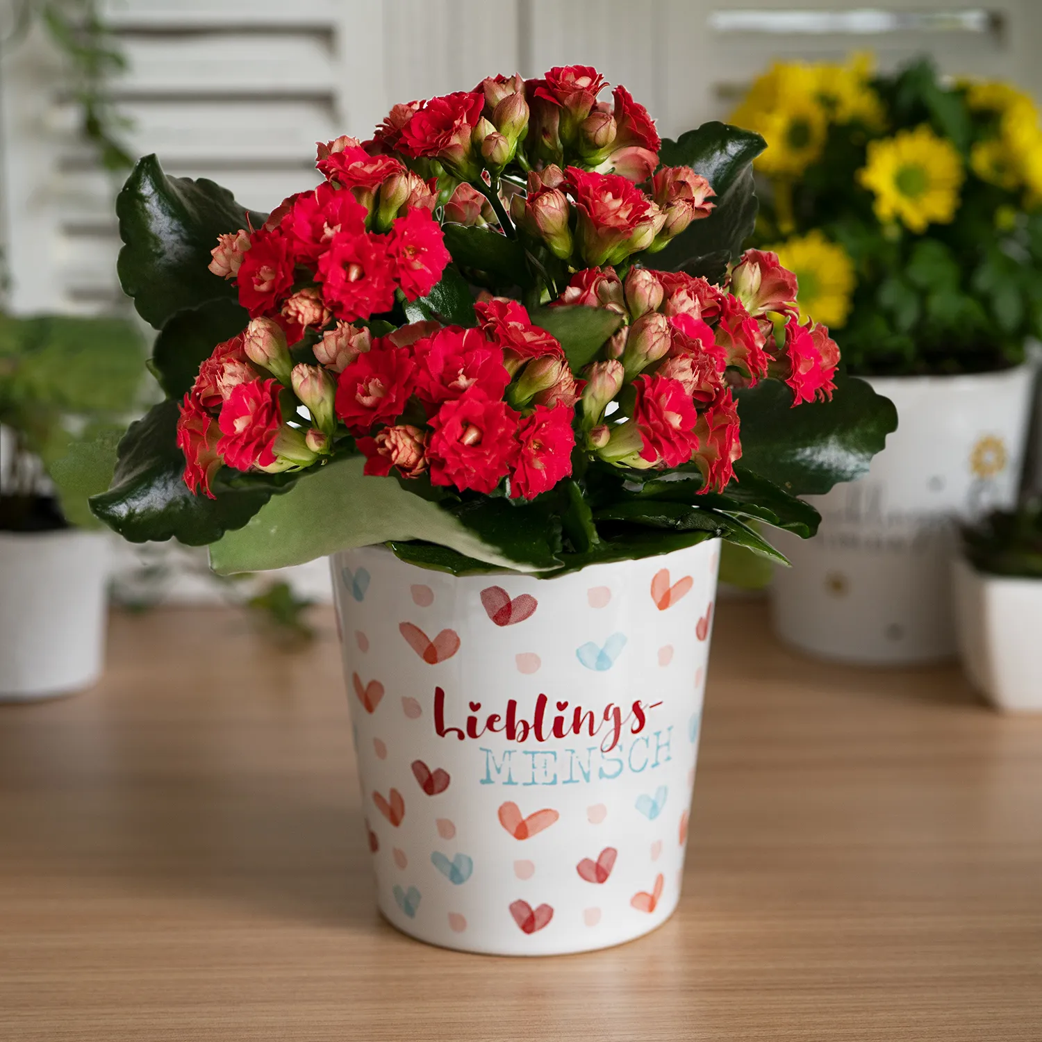 Blumenübertopf aus Steinzeug mit Herzchen-Motivdruck 'Lieblingsmensch' und roter Blumenpracht.